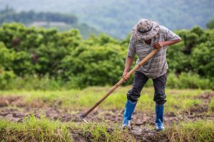 Zoneamento afetará desenvolvimento e economia da região do Vale do Araguaia e Vale do Guaporé