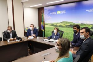 Presidente do Fórum Agro MT e da Acrismat se reúne com ministra da Agricultura e discute crise